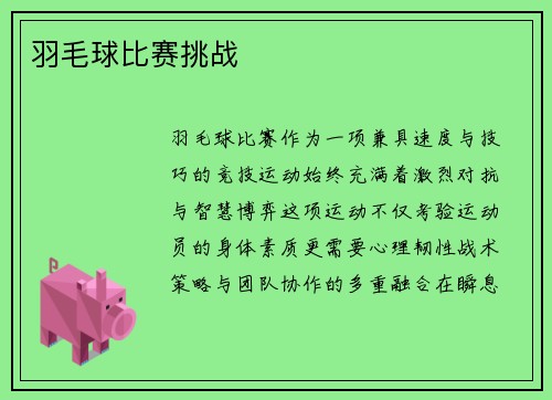 羽毛球比赛挑战
